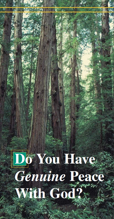 Do You Have Genuine Peace With God? tract cover